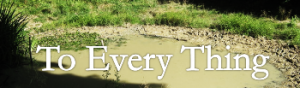 To-Every-Thing