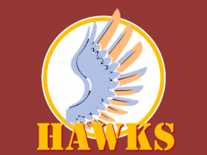 DoveCity-Hawks